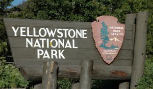 Yellowstone National Park, East Entrance